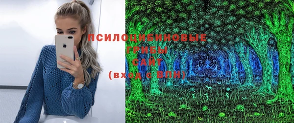 прущий лед Слюдянка