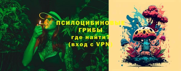 мдпв Снежинск