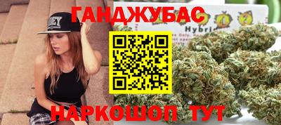 молекула духа Кингисепп