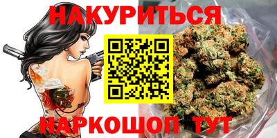 молекула духа Кингисепп