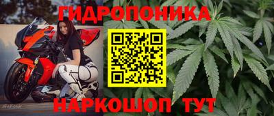 PSILOCYBIN Балаково