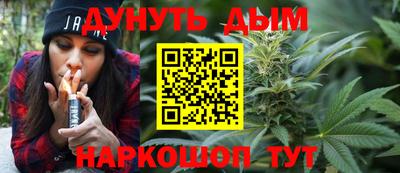 молекула духа Кингисепп