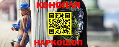 молекула духа Кингисепп