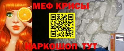 молекула духа Кингисепп