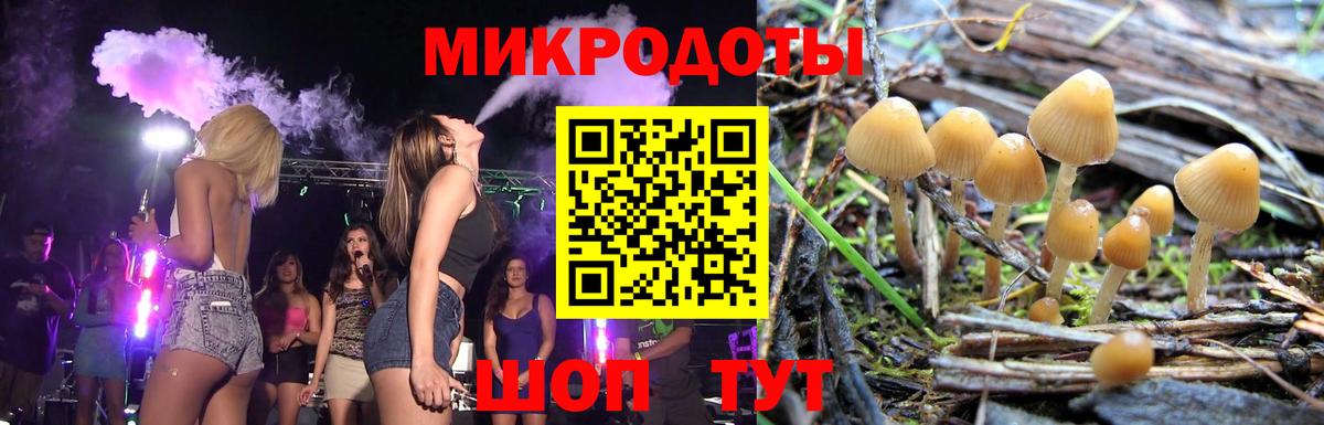 Псилоцибиновые грибы ЛСД Солнечногорск