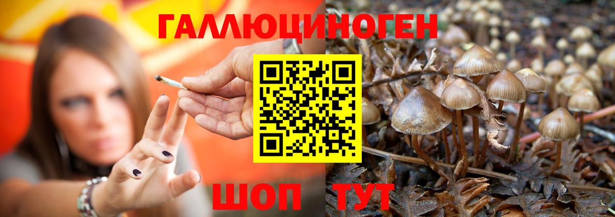 Псилоцибиновые грибы мицелий  Псилоцибиновые грибы Magic Shrooms  Солнечногорск 